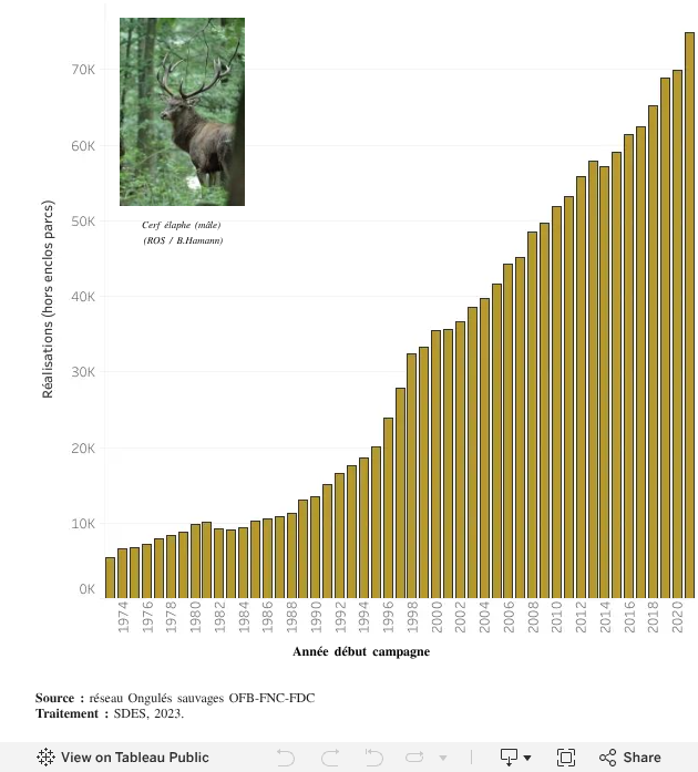 Réalisations hors enclos du cerf élaphe entre 1973 et 2021