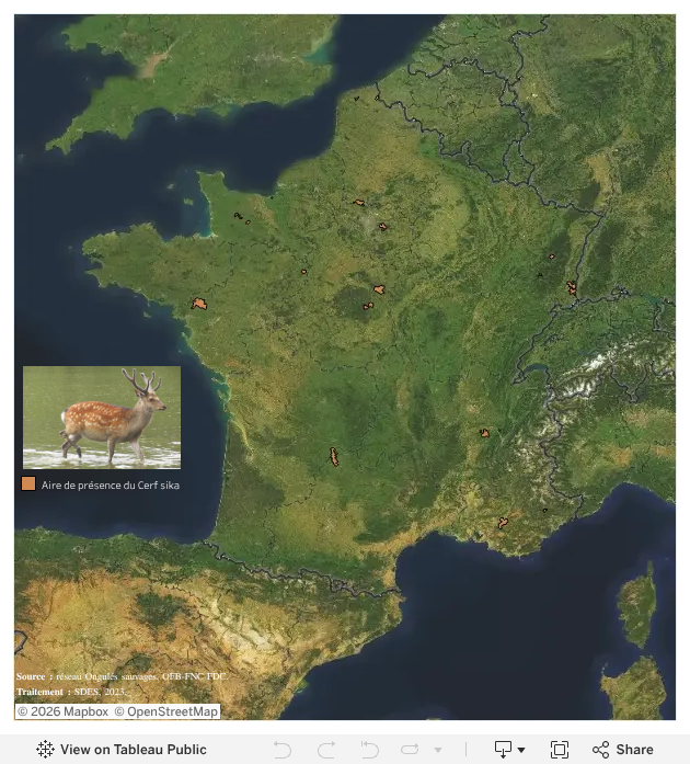 Aire de présence du cerf sika en France métropolitaine en 2019