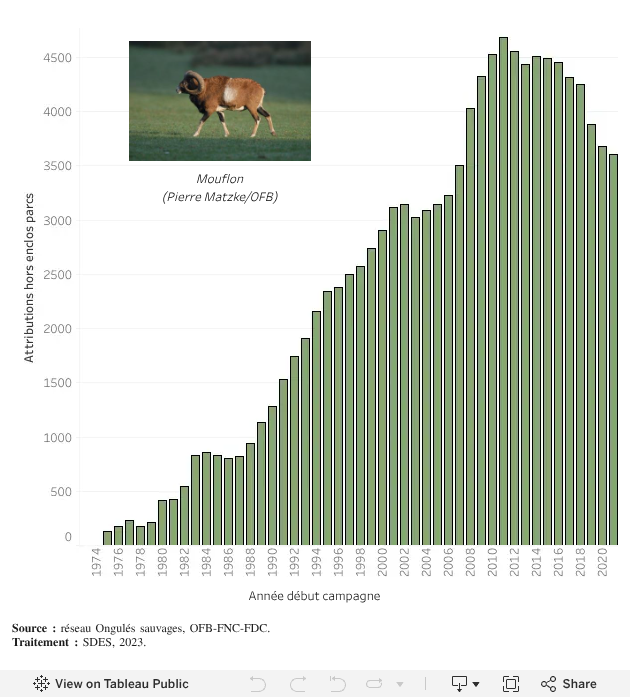 Attributions hors enclos parcs du mouflon méditerranéen entre 1975 et 2021